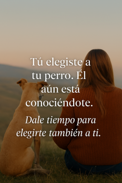 Frase emocional sobre adopción canina respetuosa. Imagen con mensaje: Dale tiempo para elegirte también a ti. Conexión con el perro adoptado