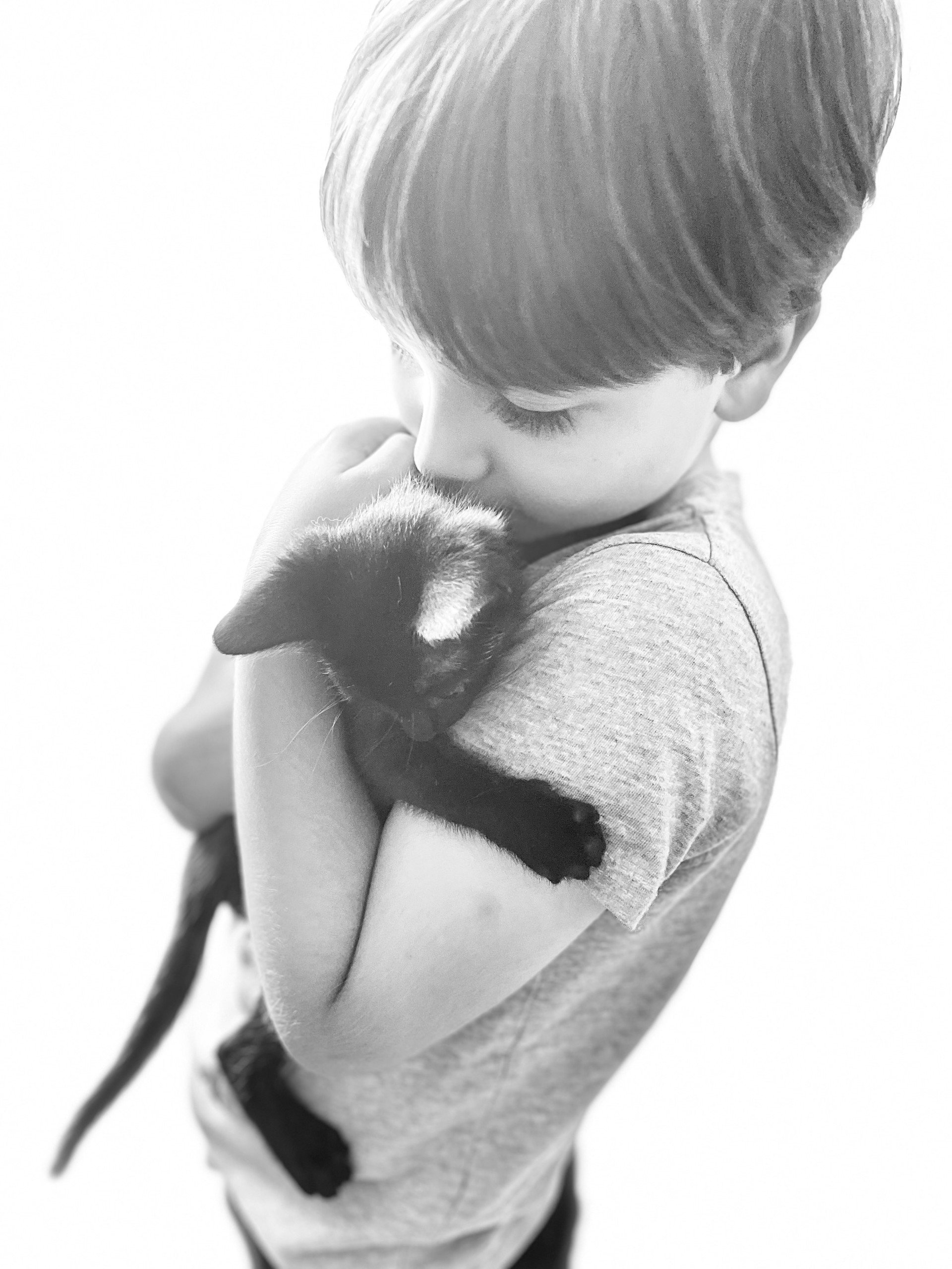 niño abrazando a su gata, cuidado de gatos en casa, vínculo felino, gato tranquilo en su hogar